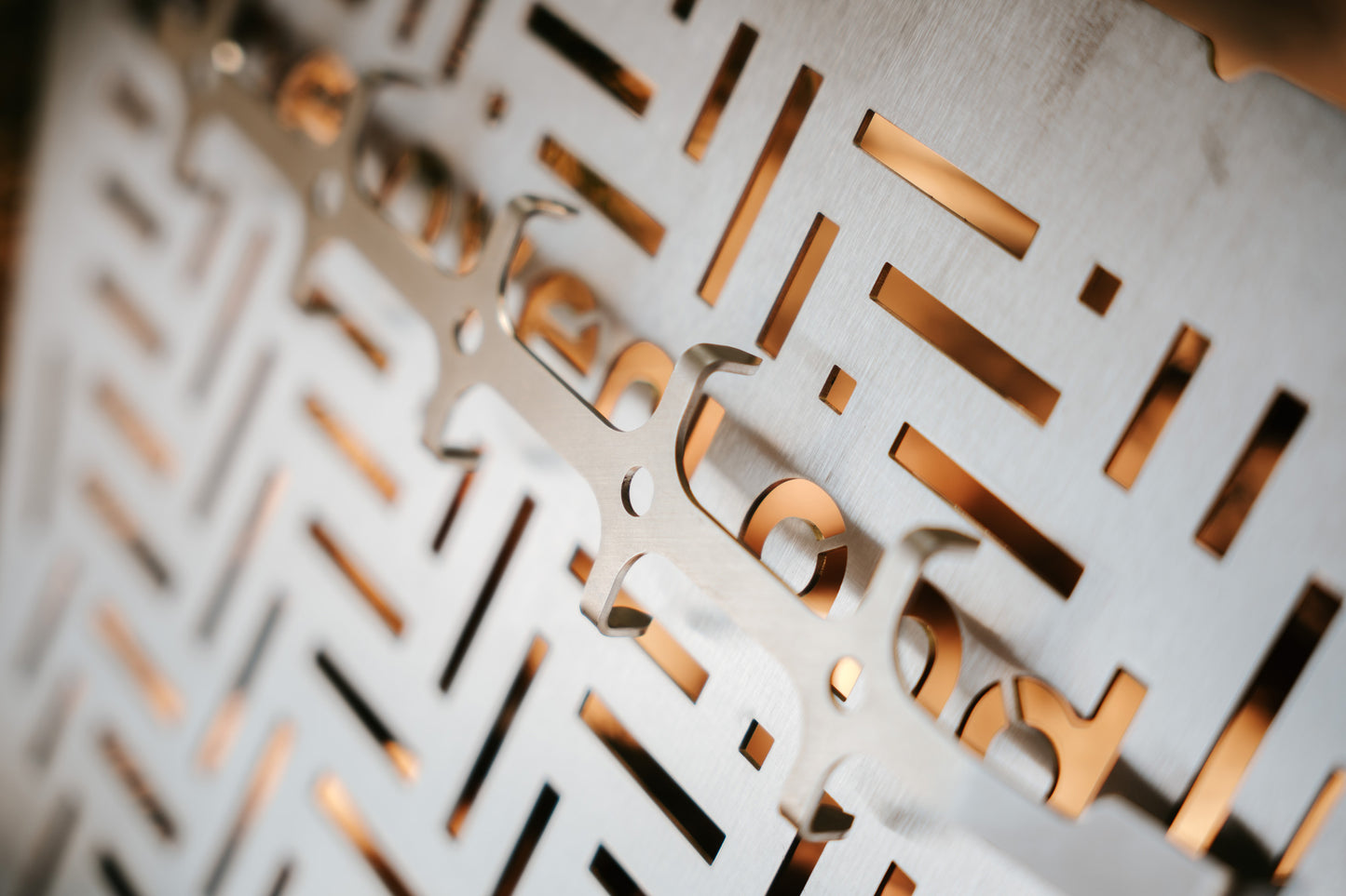 FROGGY držiak na ryby